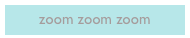 zoom zoom zoom 